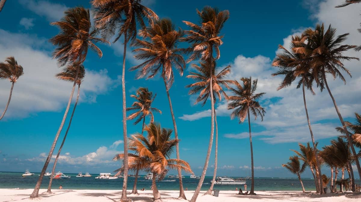 Playa Bávaro, Punta Cana — palmeras y agua turquesa